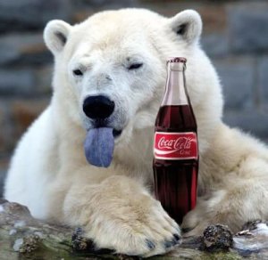 coca-cola-polar-bear-funny